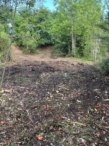 Stump Grinding and Removal for Pinewood Land Management LLC in Nashville, GA