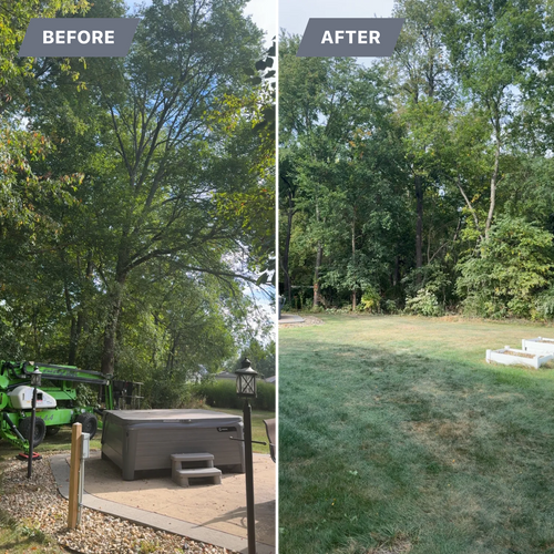 Tree Removal for Fransen's Tree Service  in Freeport, IL