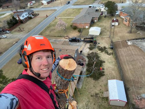 Tree Removal for Pinedown LLC in Cherokee County, GA