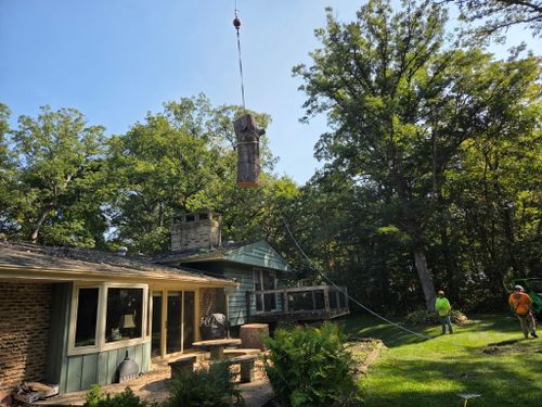 Tree Removal for Olson Tree Service, Inc in Rockford, IL