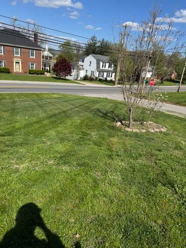 All Photos for The Yard Barbers in Somerset, KY