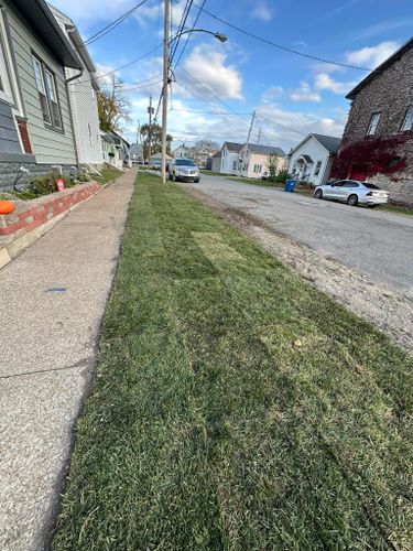  for Turf Rehab in Sandusky, OH