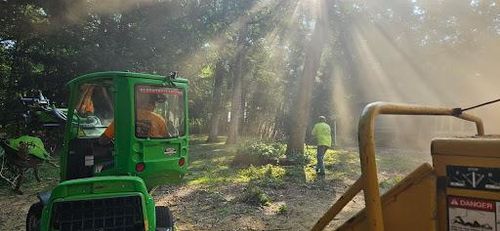 Tree Removal for Olson Tree Service, Inc in Rockford, IL