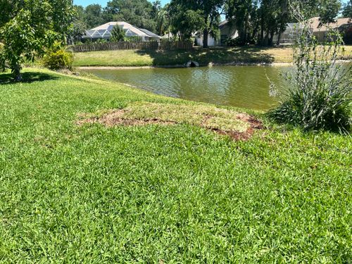  for Greene Acres Stump Grinding in Plant City, FL