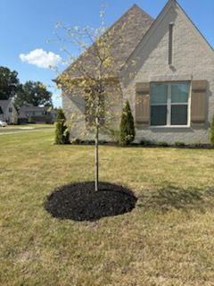  for Spectacular LawnScapes in Olive Branch, MS