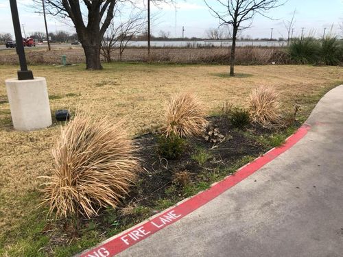 Mowing for Allen Lawn Care in Taylor, Texas