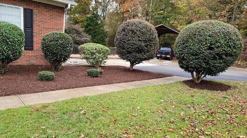 Shrub Trimming for Affordable Lawns and Trees in Oklahoma City, OK