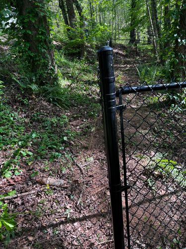 Chainlink Fences for Alpine Fence in Dahlonega, GA