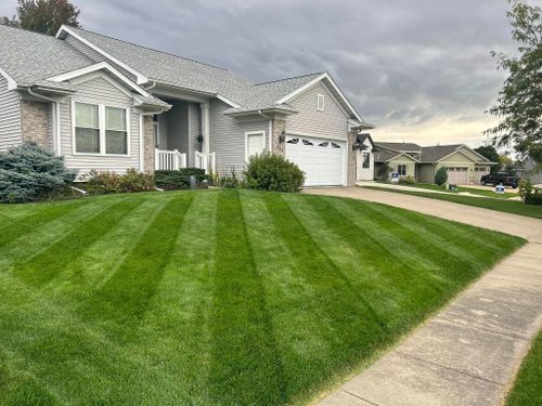 Lawn Care for Weeds Lawn Care & Landscaping LLC  in Hiawatha, IA