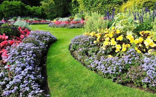 Tree And Shrub Maintenance for K&R Landscaping - Residential in Hamilton, OH