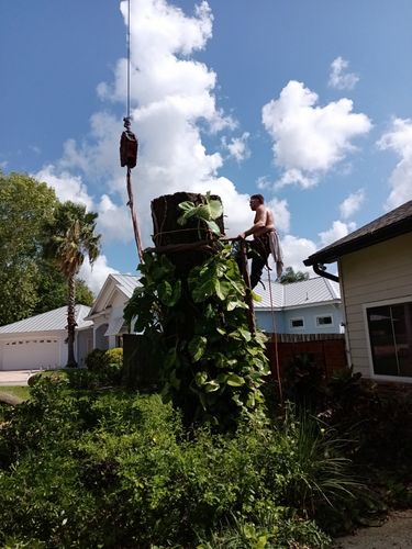 All Photos for A Southern Style Tree Service in Orlando, FL