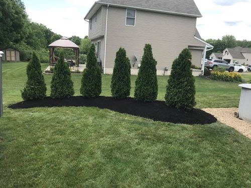 Sod Installs for Loyal Construction Management LLC in North Ridgeville, OH