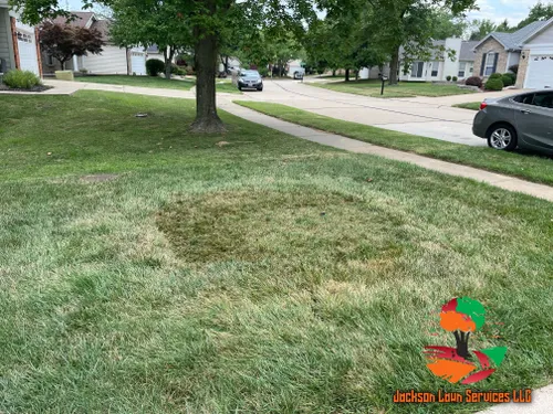 Sod Layouts for Jackson Lawn Services LLC in Florissant, MO