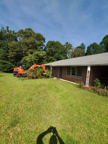 Tree & Debris Removal for Jason Scott Grading & Clearing in Williamson, GA