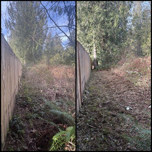 Brush Clearing - Bramble Clearing - Blackberry Clearing for Golovin Property Services LLC in Marysville, WA