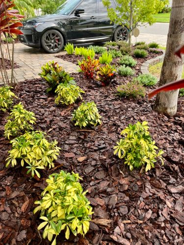 Mulch Installation for Verimay's Garden and Landscaping in Hillsborough County, FL