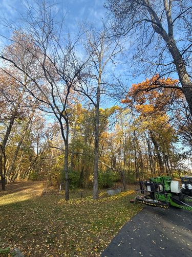 Fall Clean Up for Fransen's Tree Service  in Freeport, IL
