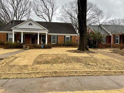 Martin Landscape for Emory's Garden Landscape Emporium in Memphis,  TN