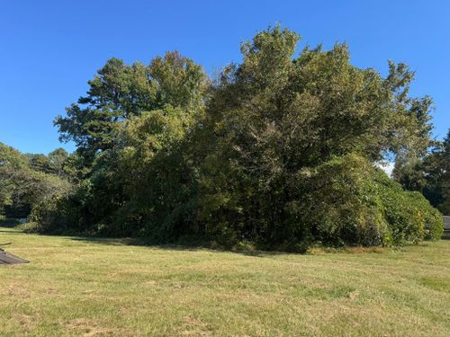  for Southern Turf & Landscape in Concord, NC