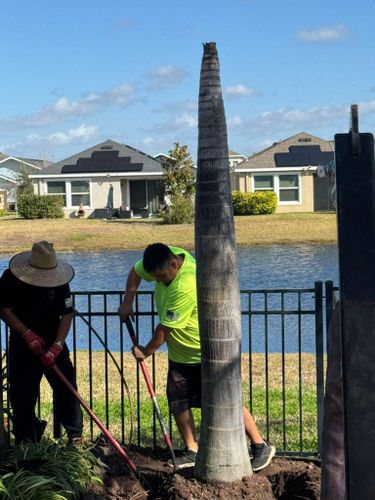 Dirt Work for Shoreside Property Services in Apollo Beach, FL
