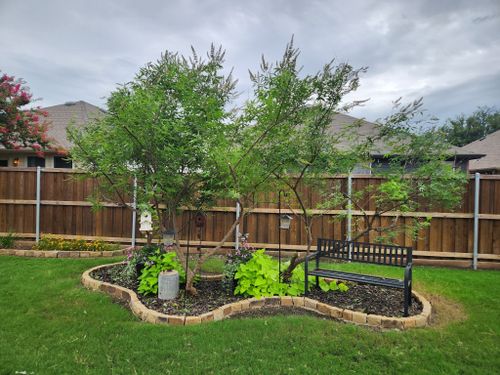 All Photos for Lavon Lawn Plus in Lavon, TX