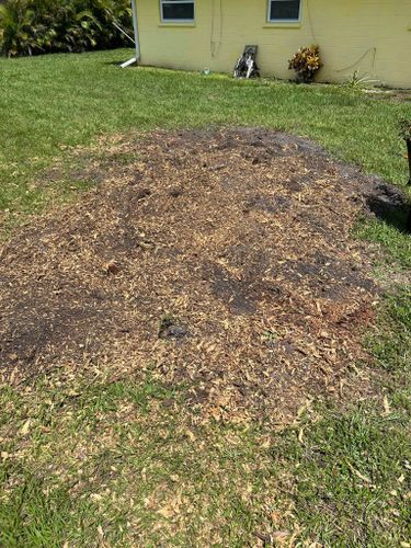 for Grizzly Stump Grinding in Sarasota, FL