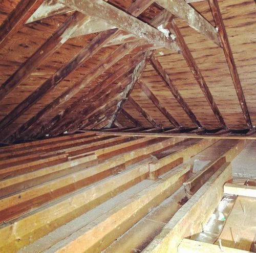 Insulation Services for Lala Home Solutions in San Juan, TX