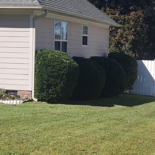 Hedge Trimming for South Montanez Lawn Care in Fayetteville, NC