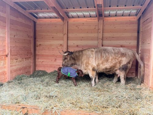 Other Builds for Oats Equestrian Fencing LLC in Arlington, WA