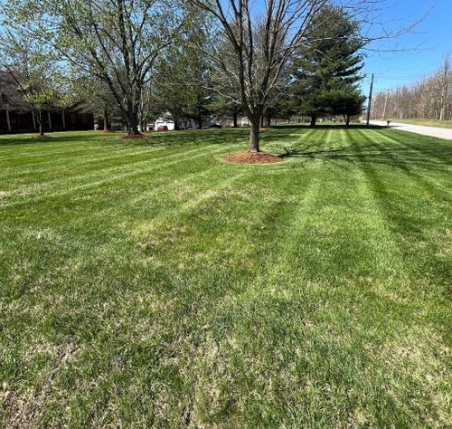  for Full Service Landscaping in Louisville, KY