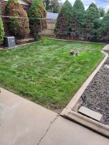 Lawn Aeration for Silver Service Pros in Riverton, UT