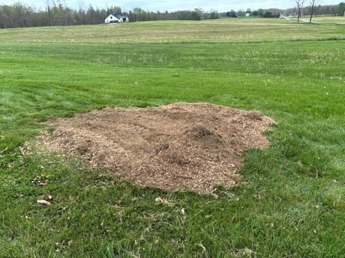 Stump Removal for Conrad's Stump Removal in Columbus, IN