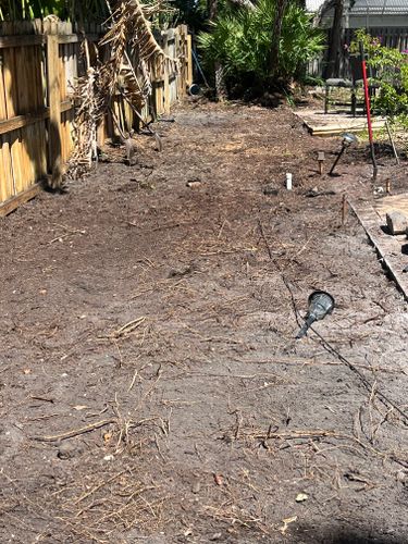 Bamboo Removal for Busy Beaver Stump Removal, Inc in Clearwater, FL