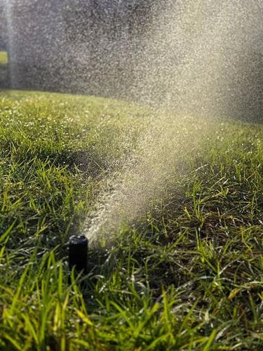  for Pavone Irrigation in Spring Hill, FL