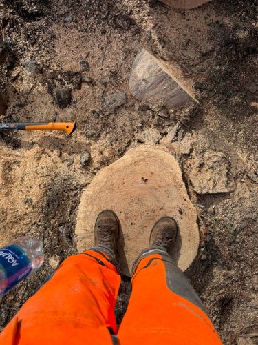 All Photos for Ramirez Tree Care in Elkin, NC