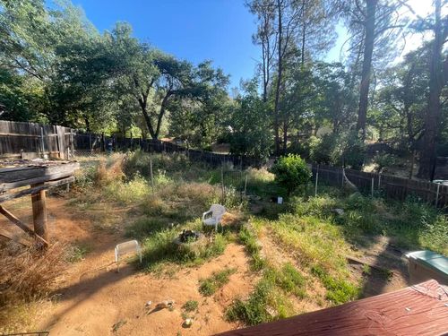 Tree & Shrub Care for Zuta1 Services in Redding, CA