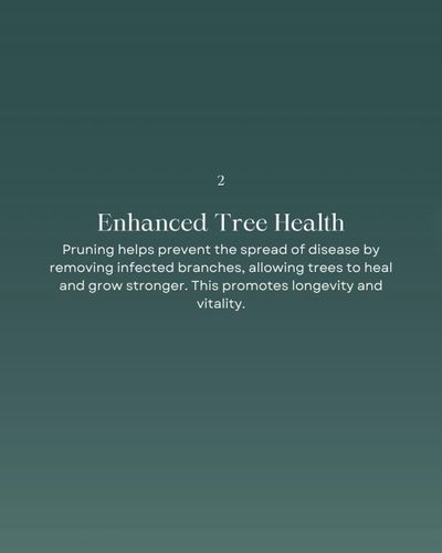  for Oakwood Tree Removal LLC in Oak Creek,  WI