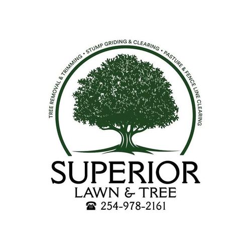 Tree Removal for Superior Lawn and Tree LLC in Clifton, TX