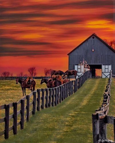 All Photos for Wantage Fence & Stonework, LLC in Wantage, New Jersey