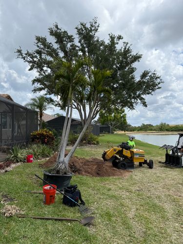 Stump Grinding for MX Trees LLC in Englewood, FL