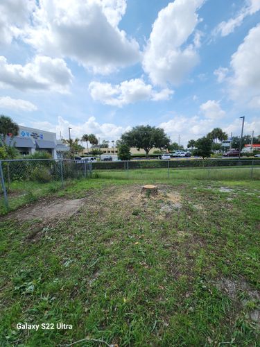 All Photos for Highlife Tree Care And Landscaping in Altamonte Springs, FL