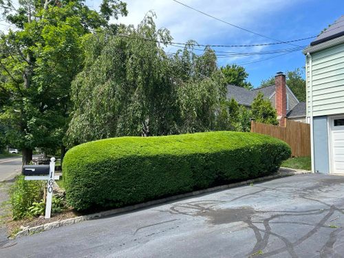  for Jose Gonzalez Landscaping in Stamford, CT