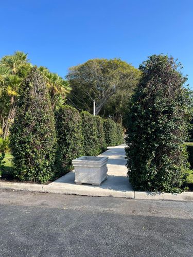 Tree Trimming and Removal for Rey Landscaping & Lawn service LLC in West Palm Beach,  FL