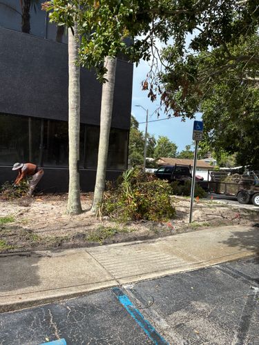  for Gulf Bay Sod in Clearwater, FL