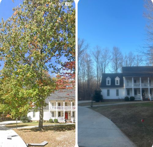  for McBee’s Tree Service in Sewanee, TN