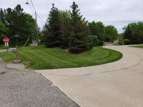  for Down To Business LLC in Howell, Michigan