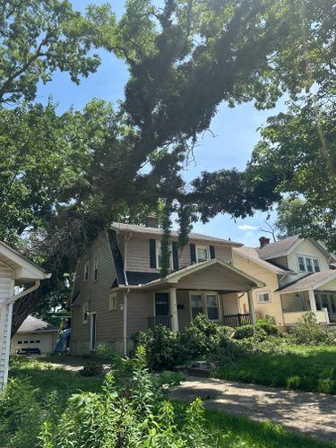 All Photos for Pro Tree Trim & Removal, Llc in Dayton, OH