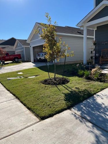 Lawn Maintenance for Oviedo Land & Garden in Bastrop, TX