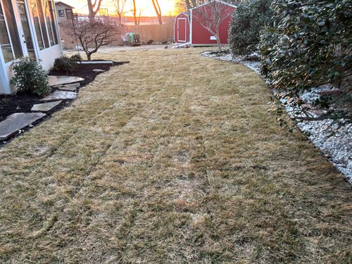 Lawn Maintenance for Three Angels Lawncare in Rogers, AR