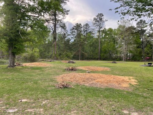 Stump Removal for MJB’s Stump Grinding LLC in Tennille, GA